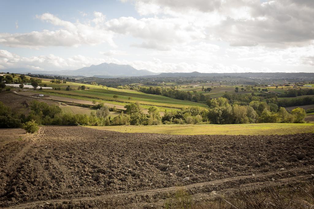 Agriturismo Villa Luisa Apice Kültér fotó